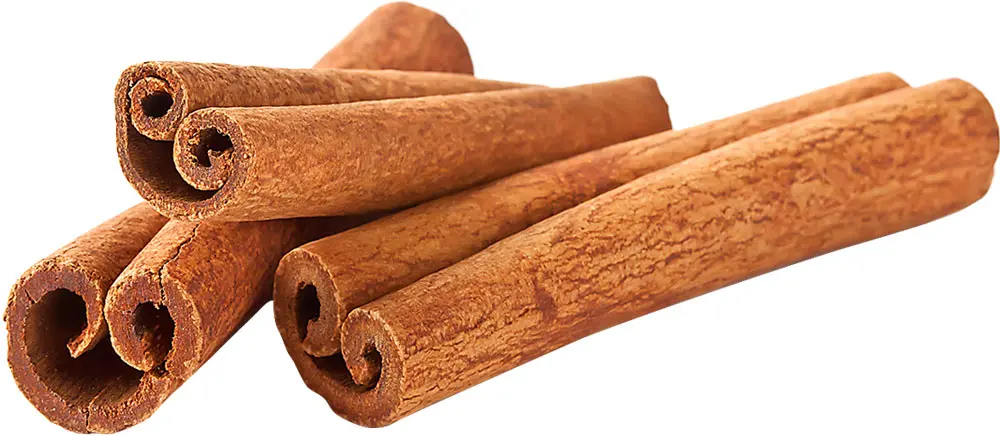 Cinnamon bark hotsell